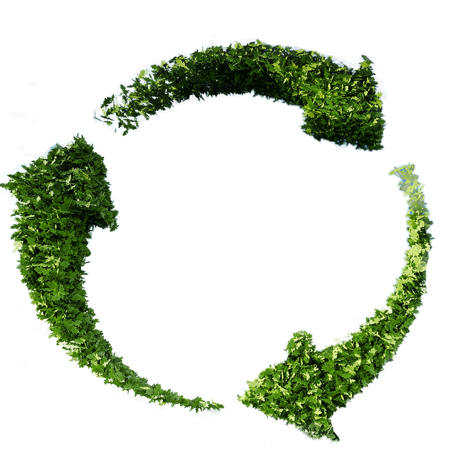 Sustainable waste disposal in singapore