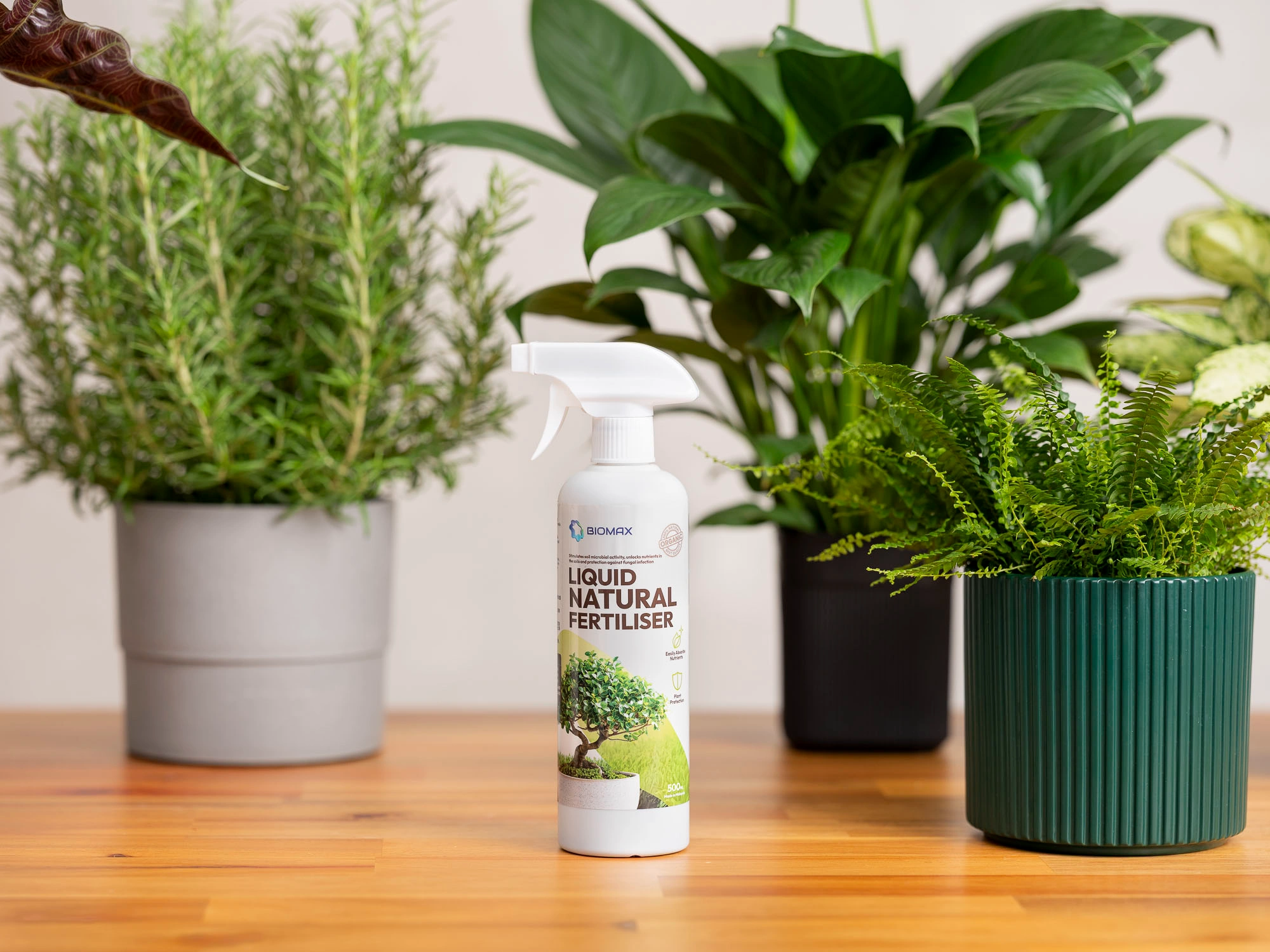 Biomax Natural Liquid Fertiliser Singapore bottle with indoor plants