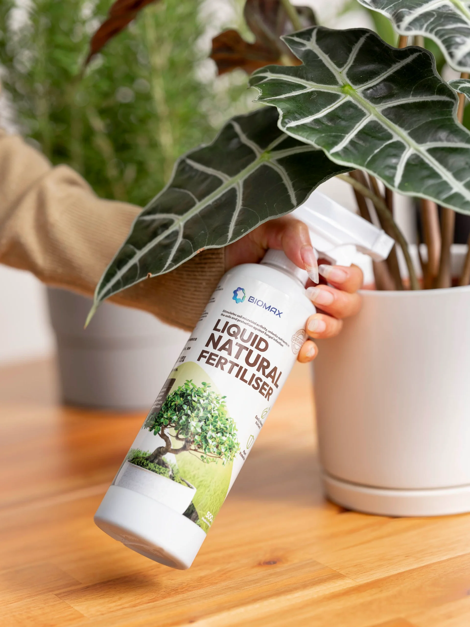 Biomax Natural Liquid Fertiliser Singapore being applied to indoor plant leaves