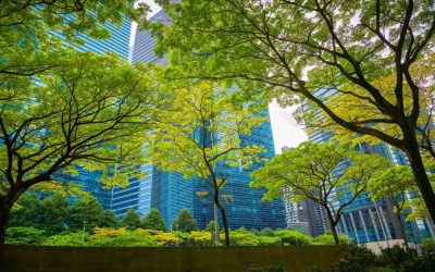 How Biomax Green Supports Singapore’s Green Plan 2030