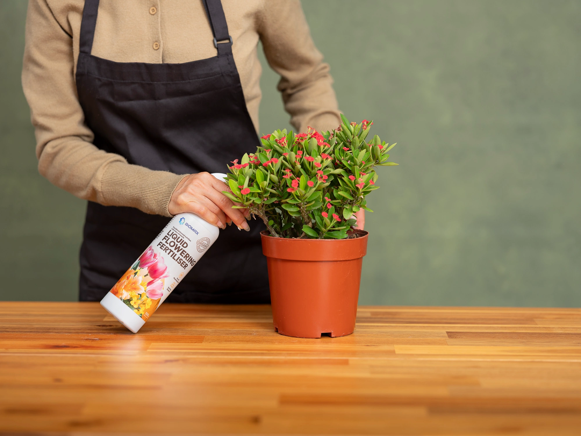 Biomax Liquid Flowering Fertiliser Singapore being applied to flowering plant