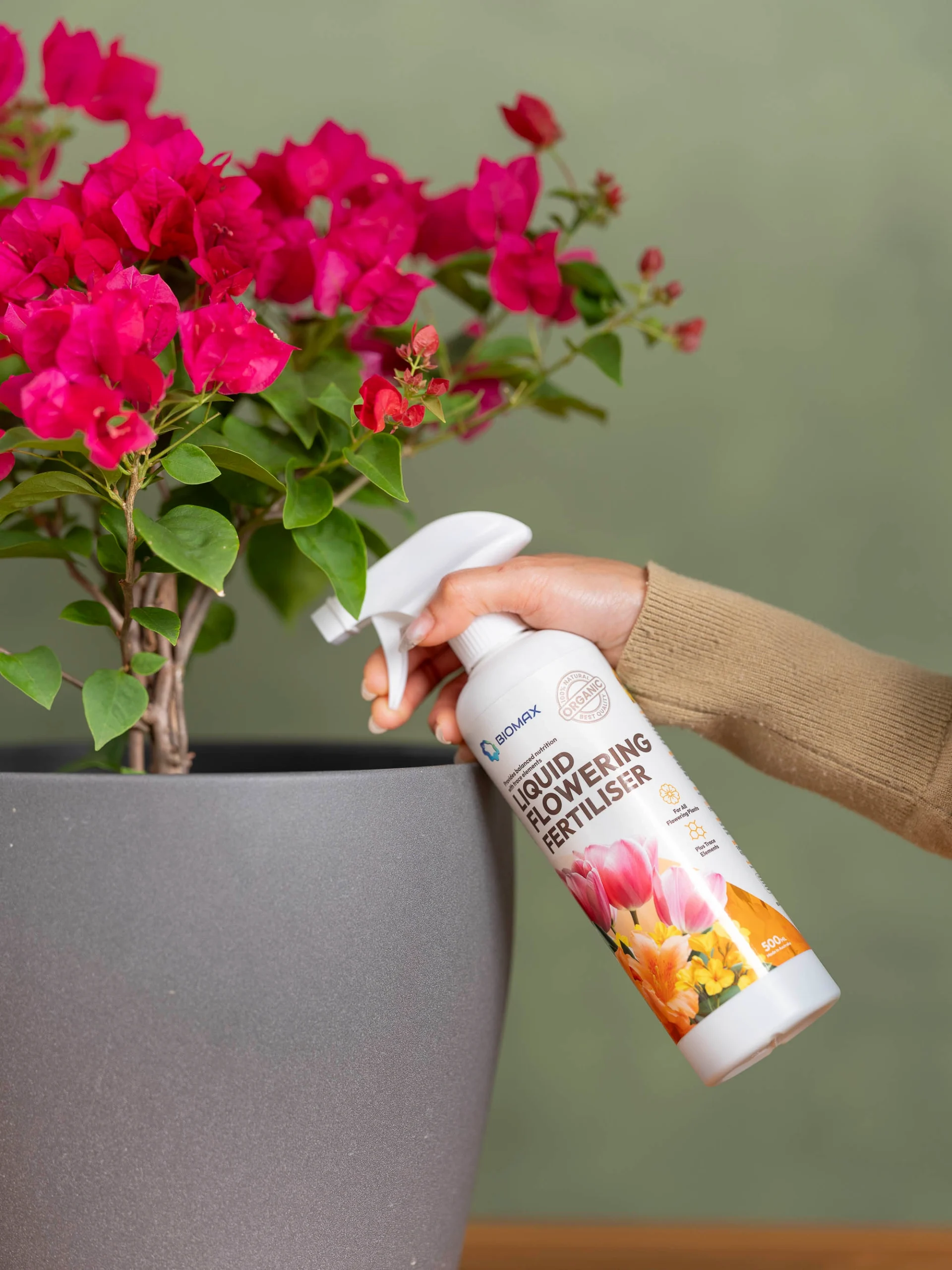 Biomax Liquid Flowering Fertiliser Singapore spray application for flowering plant care`
