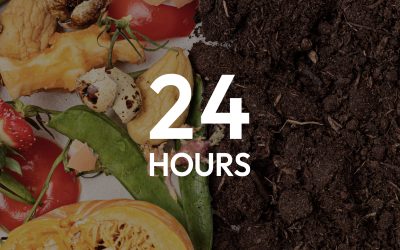 How Organic Waste is Converted into Fertiliser: A Complete Guide