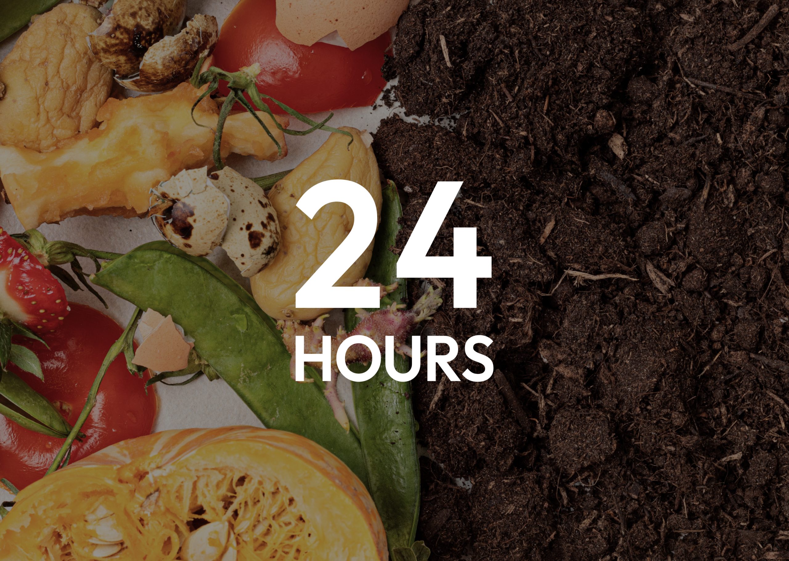 Biomax Blog Post 01_how organic waste is converted