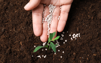 Why Sustainable Fertiliser Manufacturing is the Future of Agriculture