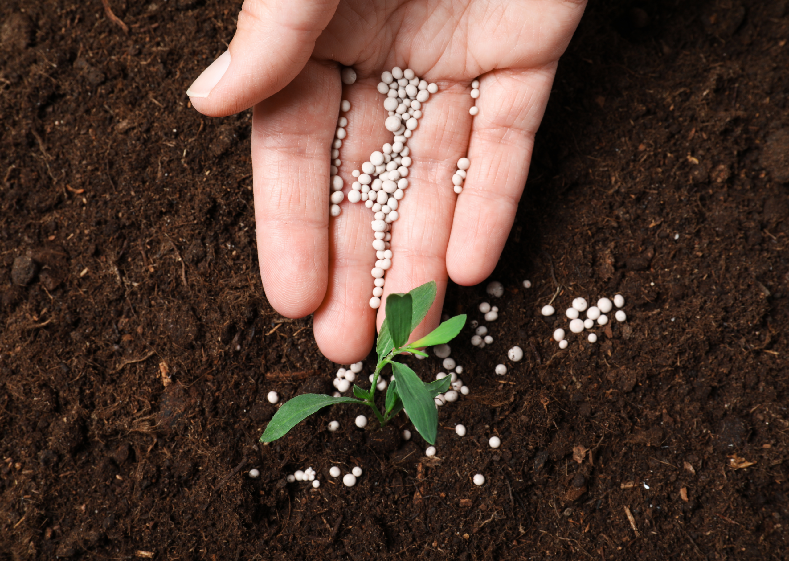 Sustainable Fertiliser Manufacturing