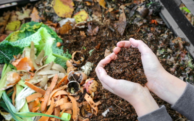 Why Thermophilic Digestion Advantages for Singapore Businesses Technology Is the Future of Organic Waste Processing in Singapore