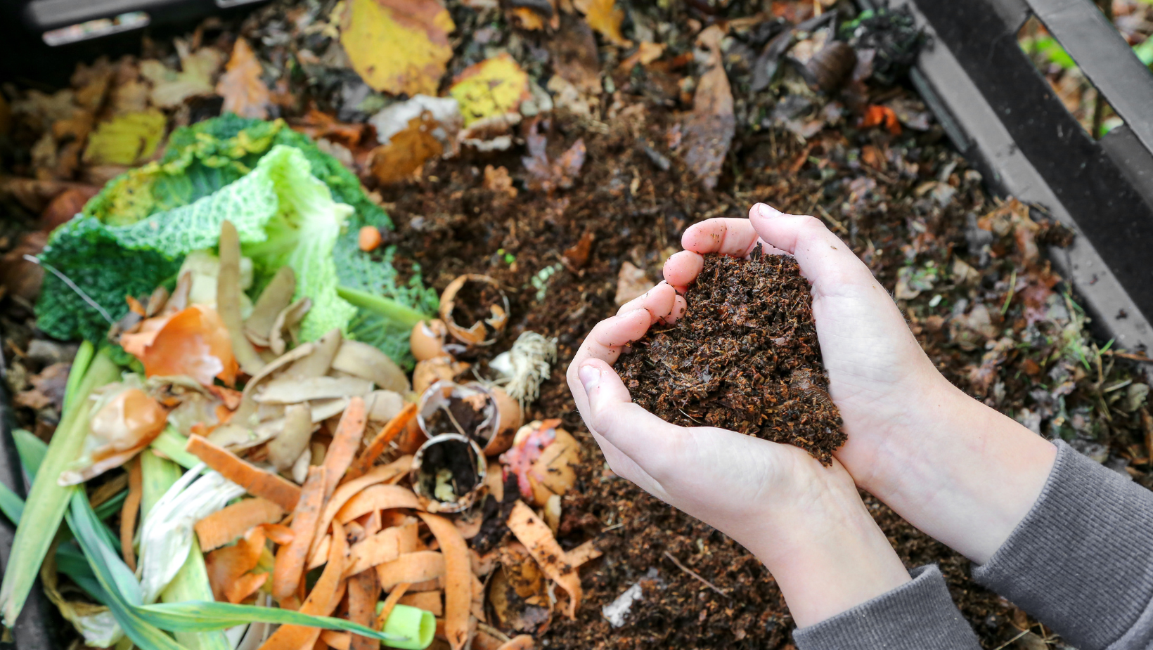 Future of Organic Waste Processing in Singapore