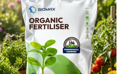 Choosing the Right Organic Fertiliser Solution for Commercial and Industrial Use in Singapore