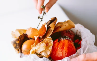 Why Thermophilic Digestion Advantages for Singapore Businesses Technology Is the Future of Organic Waste Processing in Singapore