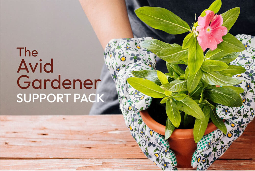 Choosing the Right Organic Fertiliser Solution for Commercial and Industrial Use in Singapore