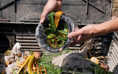 Food Waste to Fertiliser: A Smarter Solution for Hotels, Restaurants & Commercial Kitchens