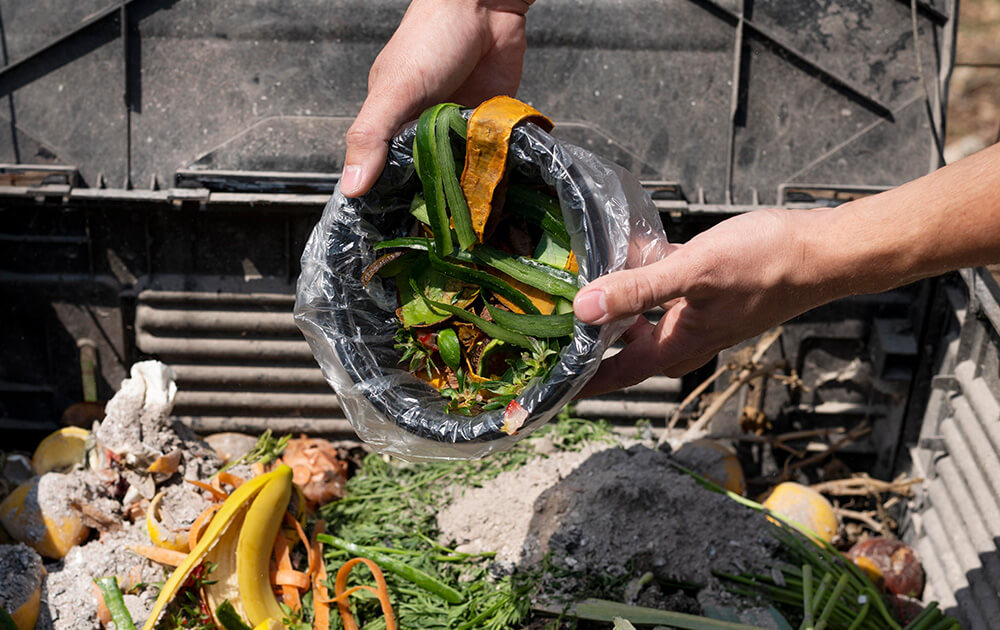Food Waste to Fertiliser