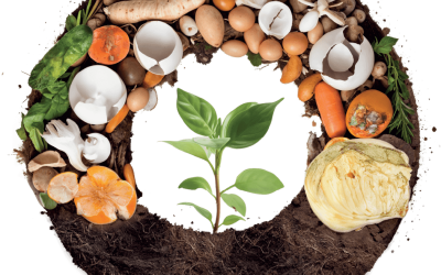 How Organic Waste Management Is Transforming Sustainable Businesses in Singapore