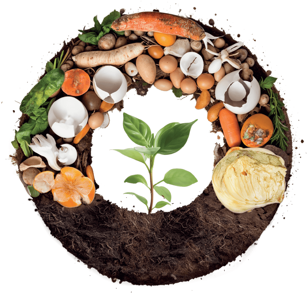 How Organic Waste Management Is Transforming Sustainable Businesses in Singapore