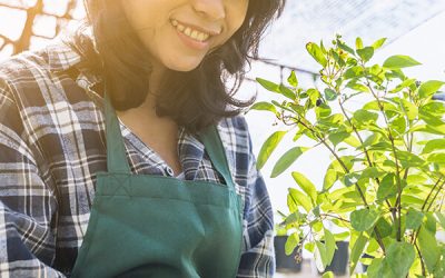 How Singapore Businesses Can Significantly Reduce Waste Disposal Costs with Smart Organic Waste Solution Benefits