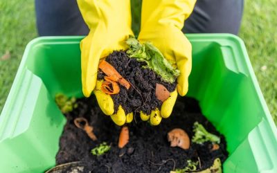 From Food Waste to Fertiliser: The Science Behind Organic Waste Conversion