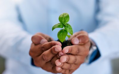 How Rapid Thermophilic Digestion Helps Reduce Landfill Waste